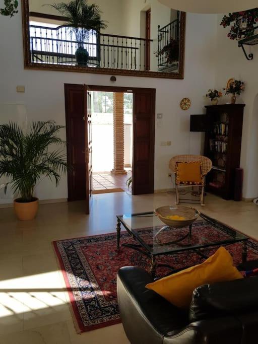 Beautiful 9 Bedroom With And Pool.