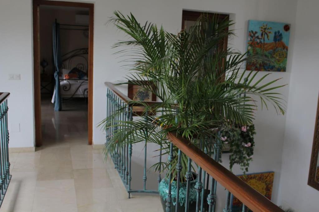 Villa Beautiful 9 Bedroom With And Pool. *